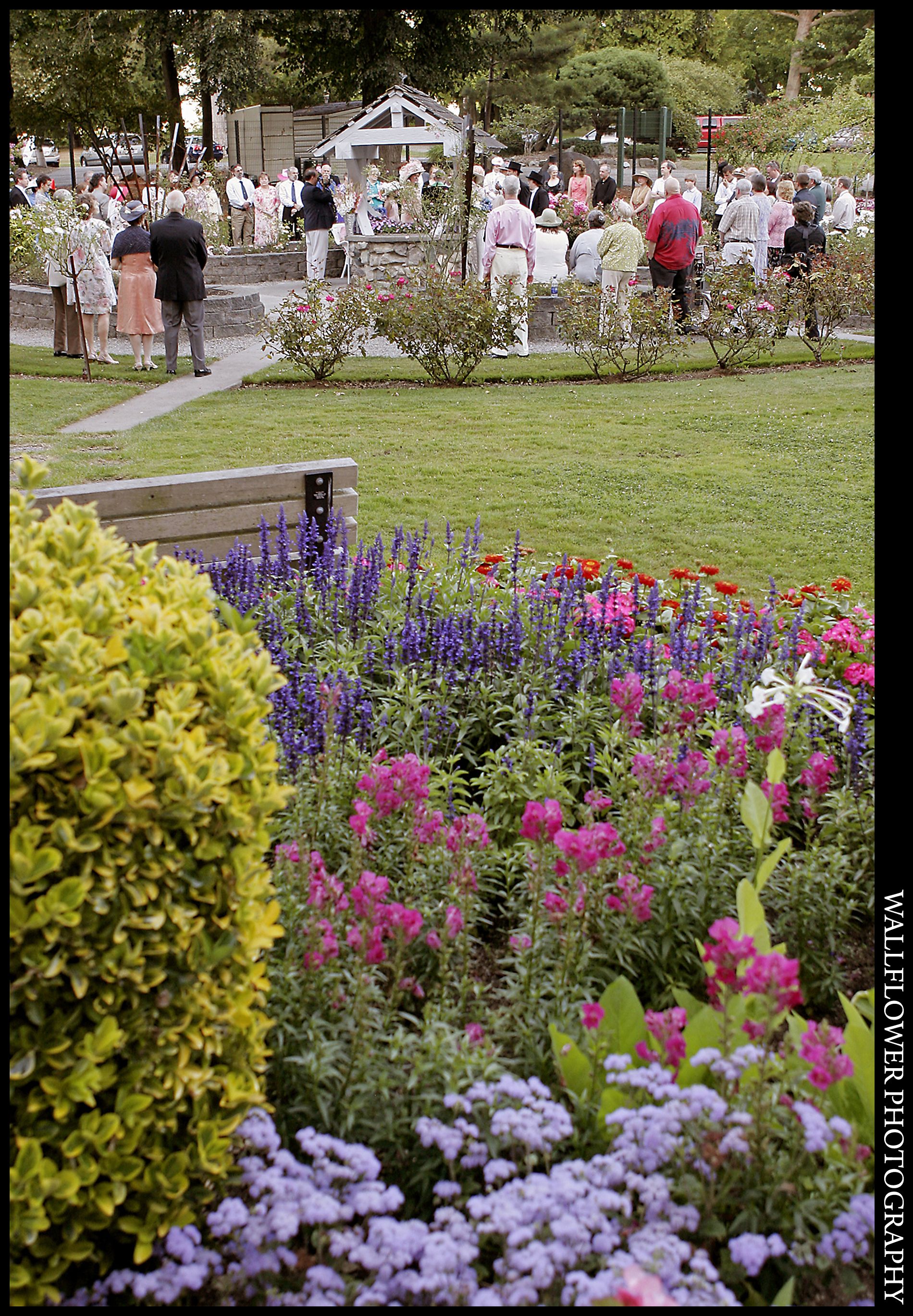 Visiting Point Defiance Rose Garden Garden Diy Garden