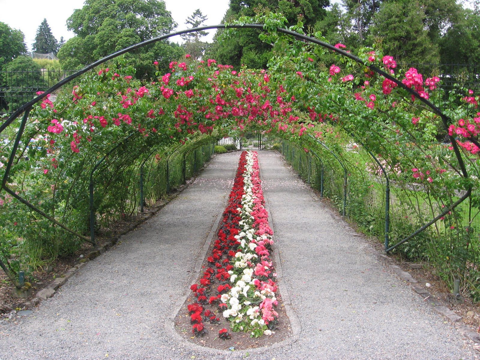 Rose Garden Kennewick Wa Unique And Different Wedding Ideas