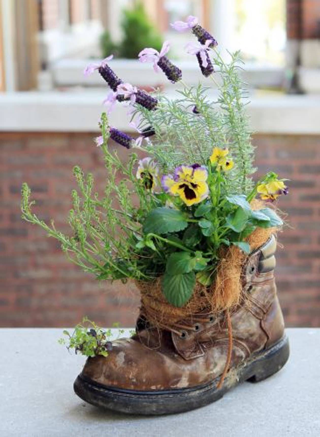 Best Creative Garden Container Ideas