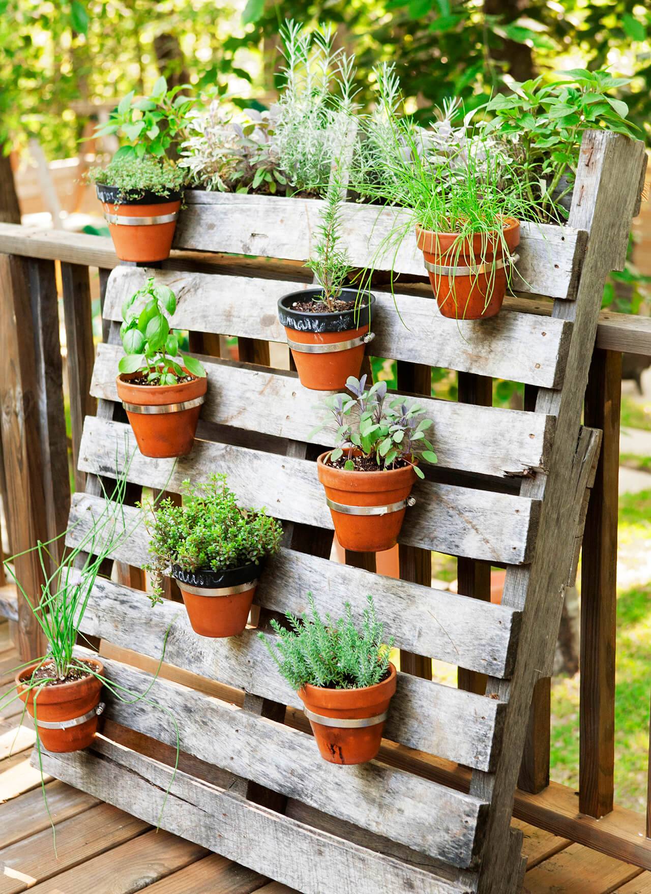 Creative Garden Container Pot Plant Combinations