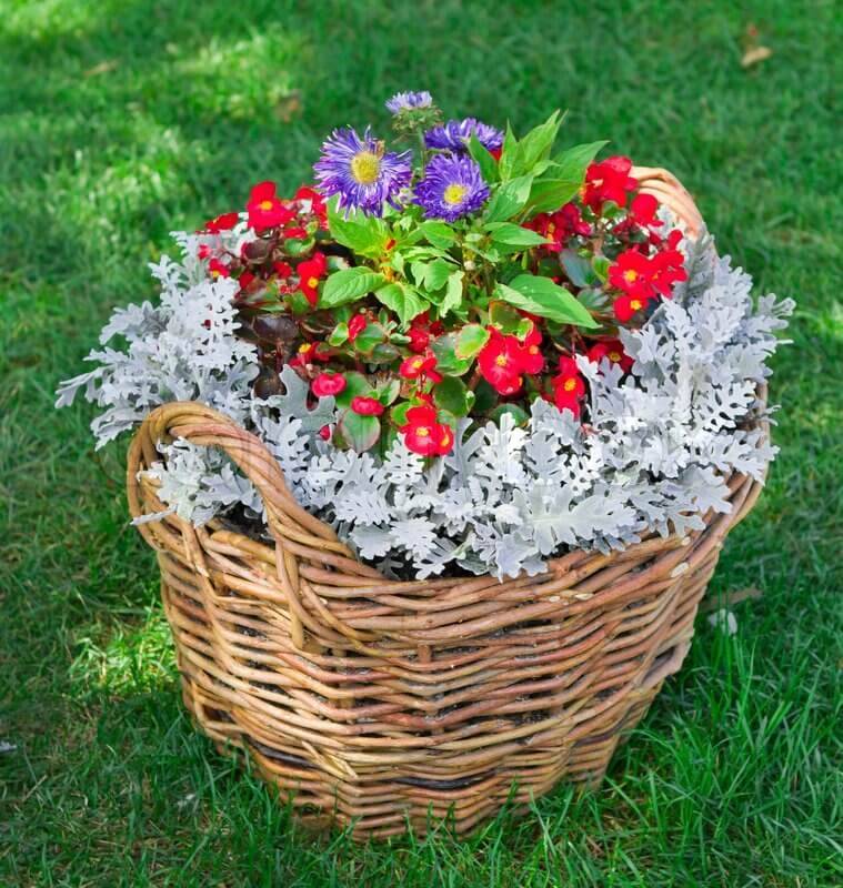 Trash To Garden Treasure Container Flowers