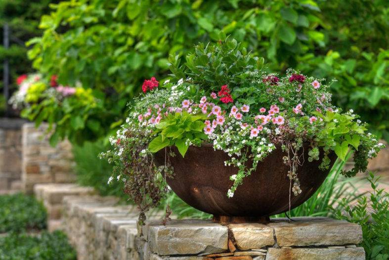 Best Creative Garden Container Ideas