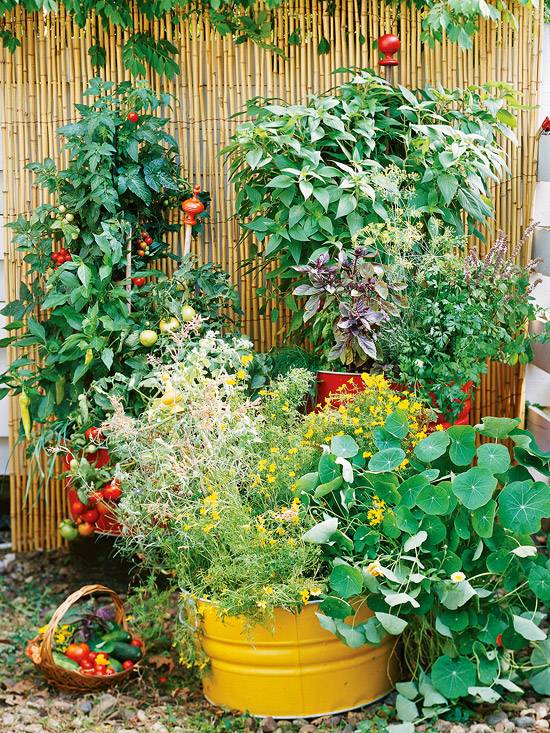 Creative Garden Ideas Small Spaces