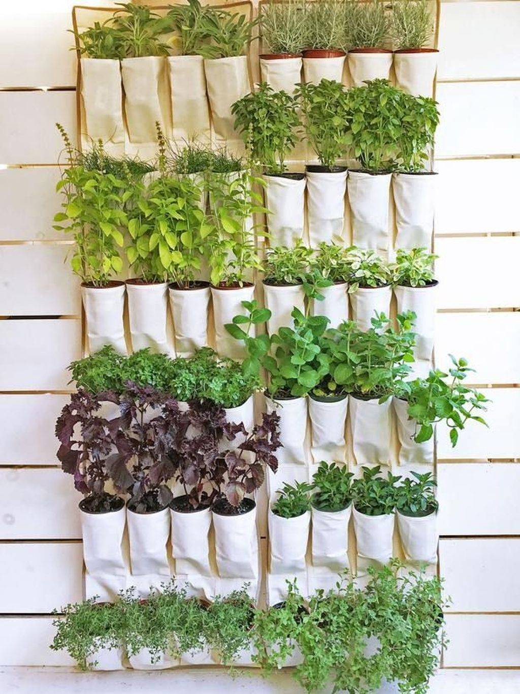 Creative Garden Ideas