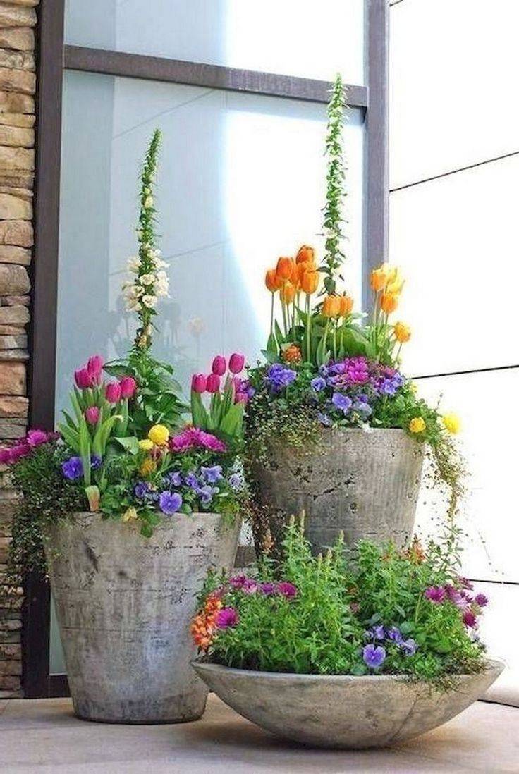 Janice Farrell Container Gardening