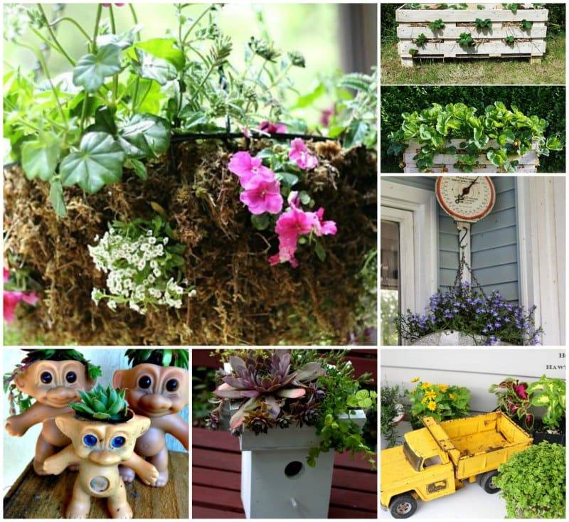 Best Creative Garden Container Ideas