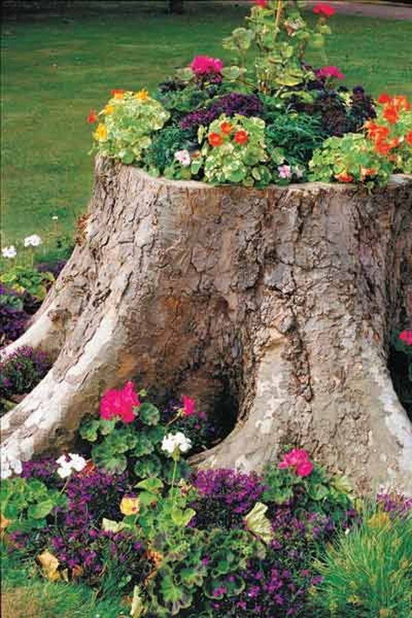 Diy Tree Stump Garden Ideas Container