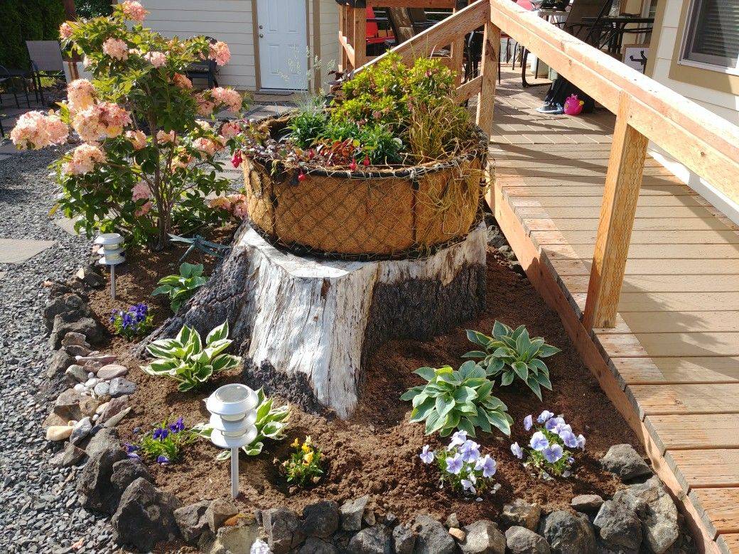 18 DIY Tree Stump Garden Ideas Container You Should Check SharonSable