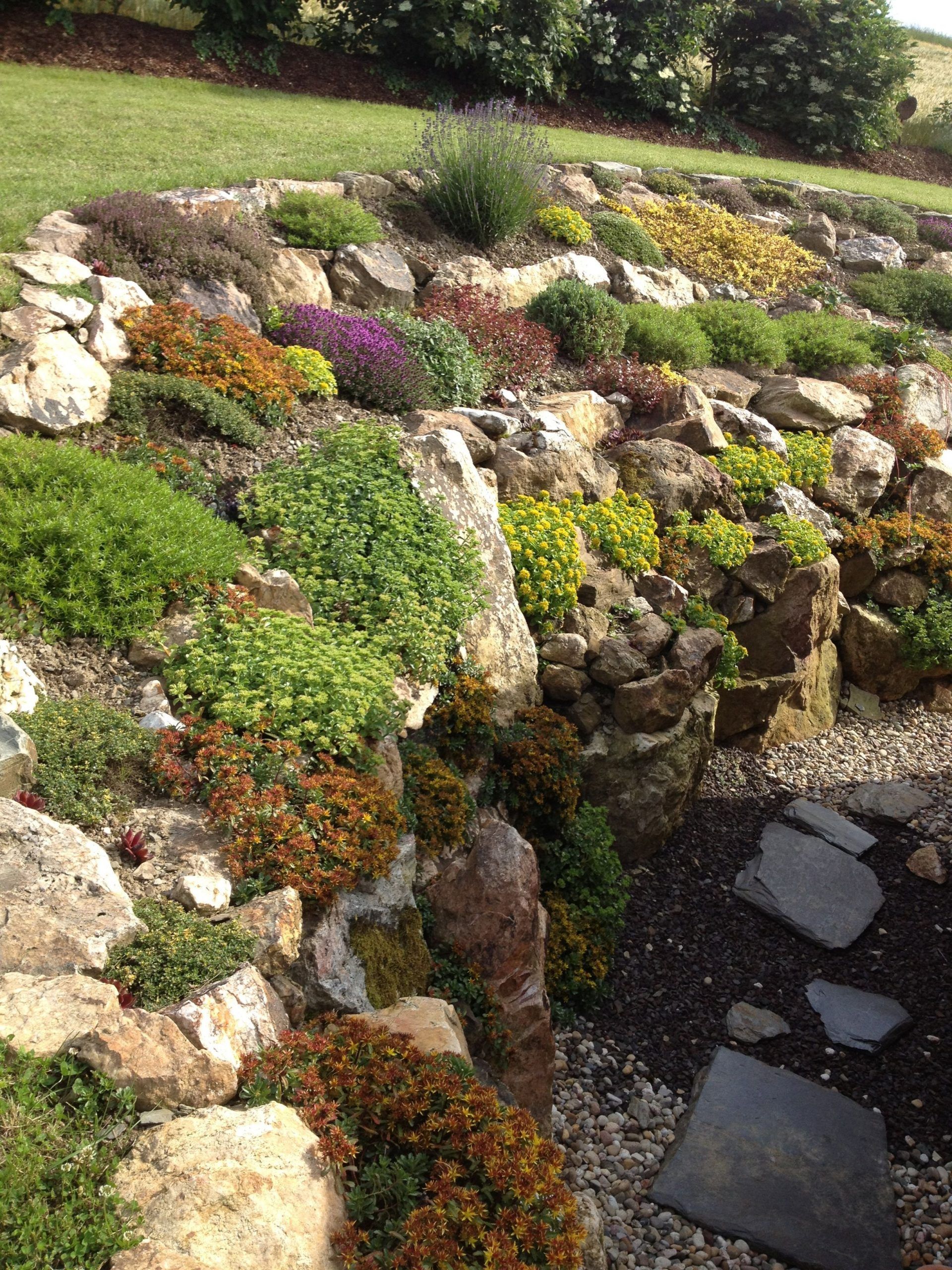 Rock Garden Ideas