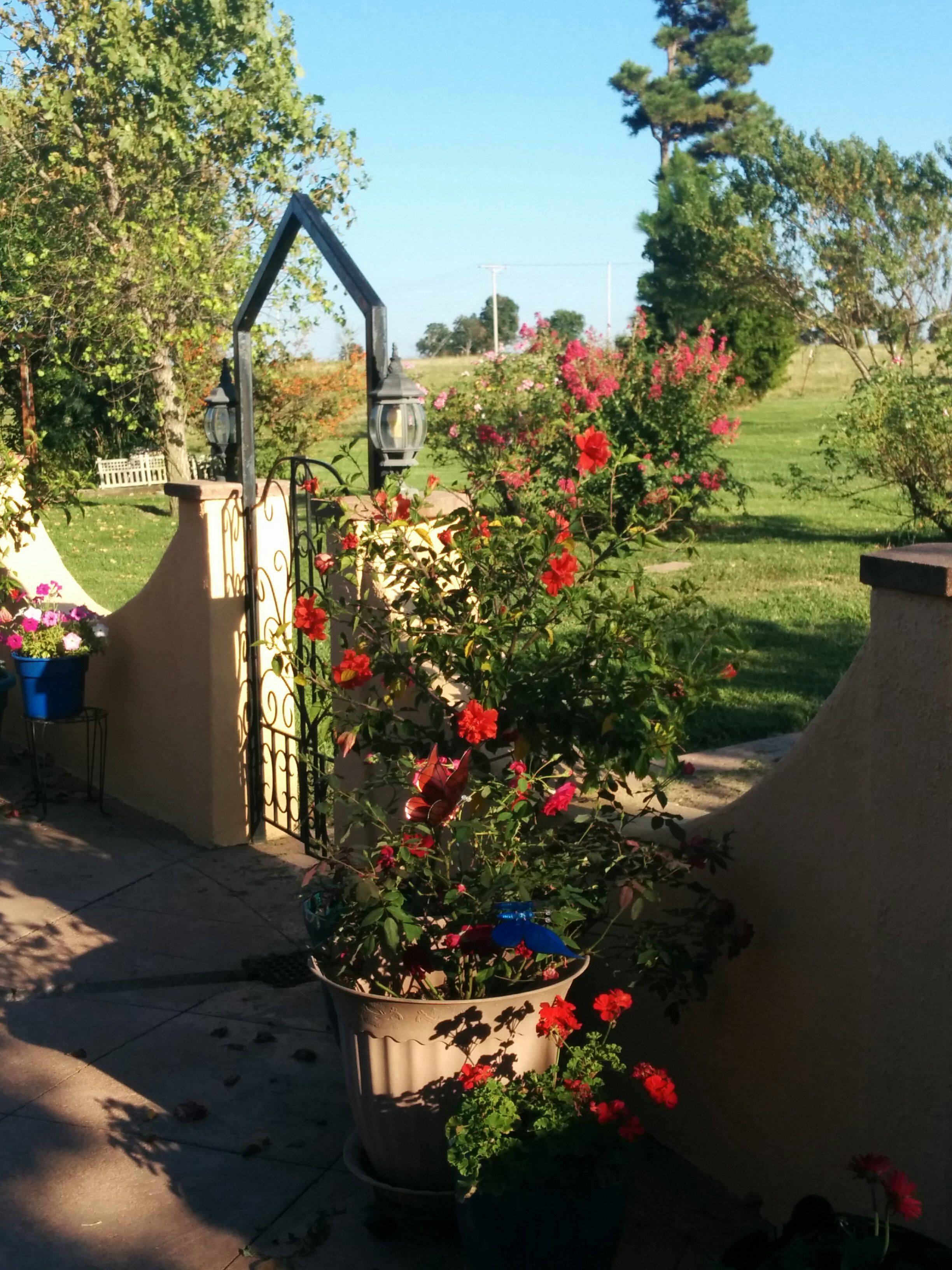 Awesome Backyard Pergola Plan Ideas Small Courtyard Gardens