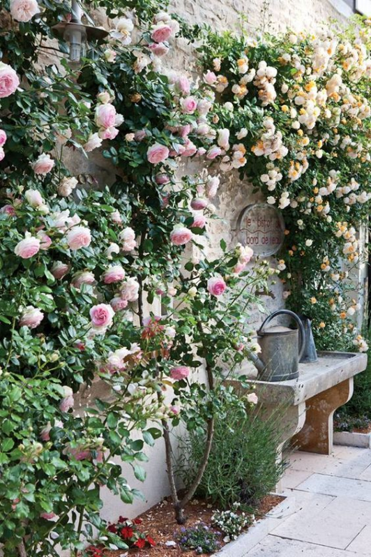 Beautiful Places Rose Garden Design