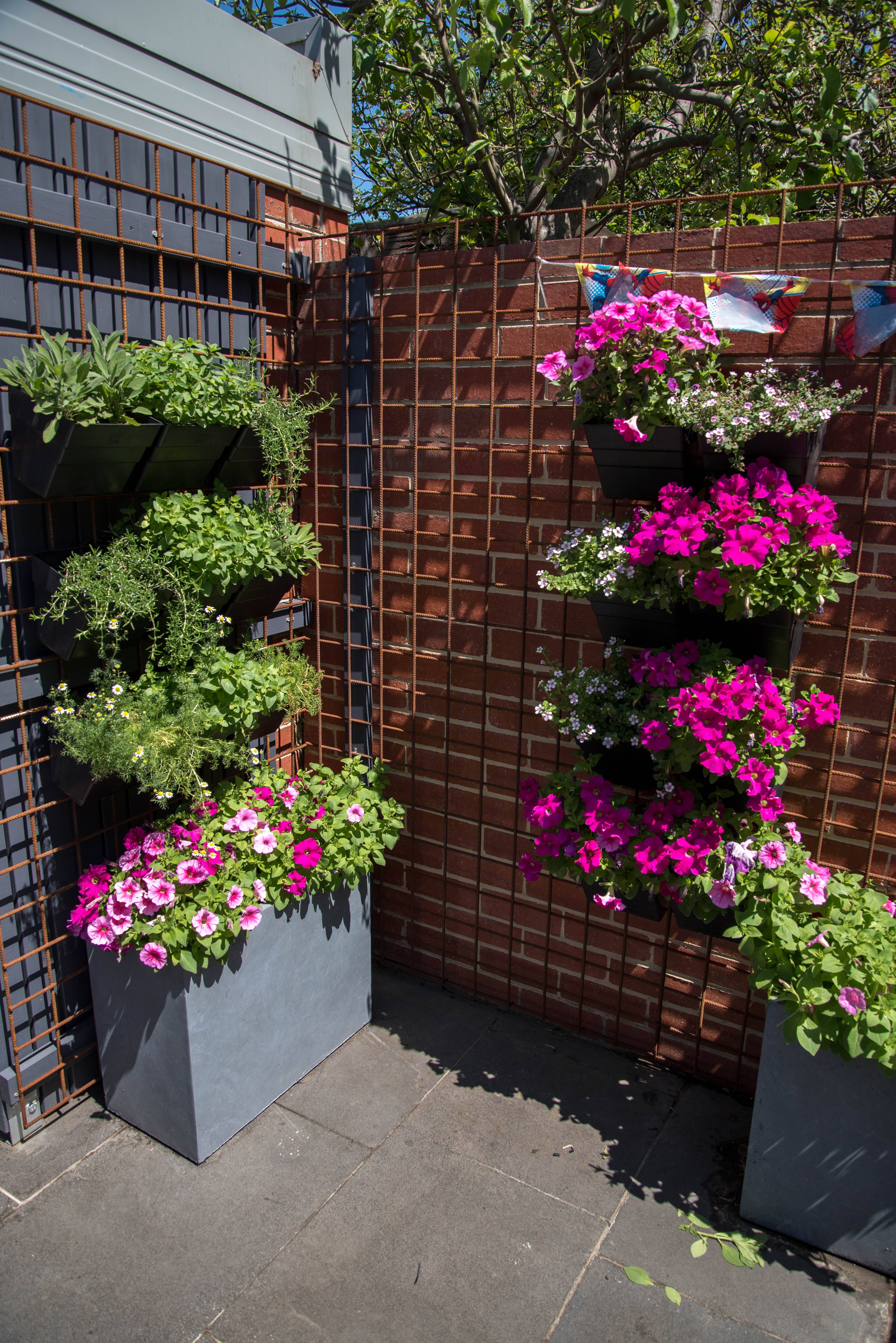 Most Beautiful Container Gardening Flowers Ideas