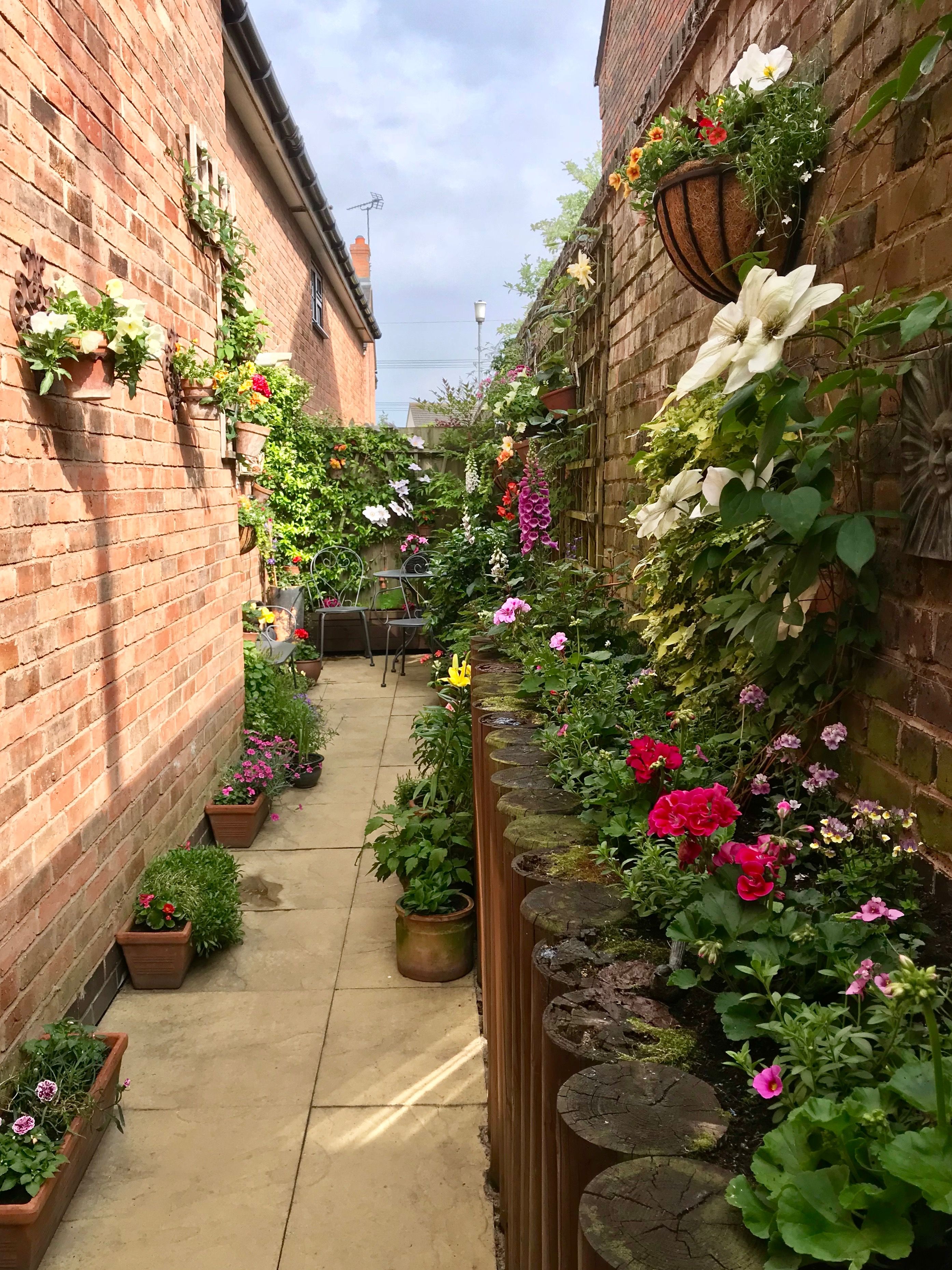 The Small Courtyard Planting Flowers