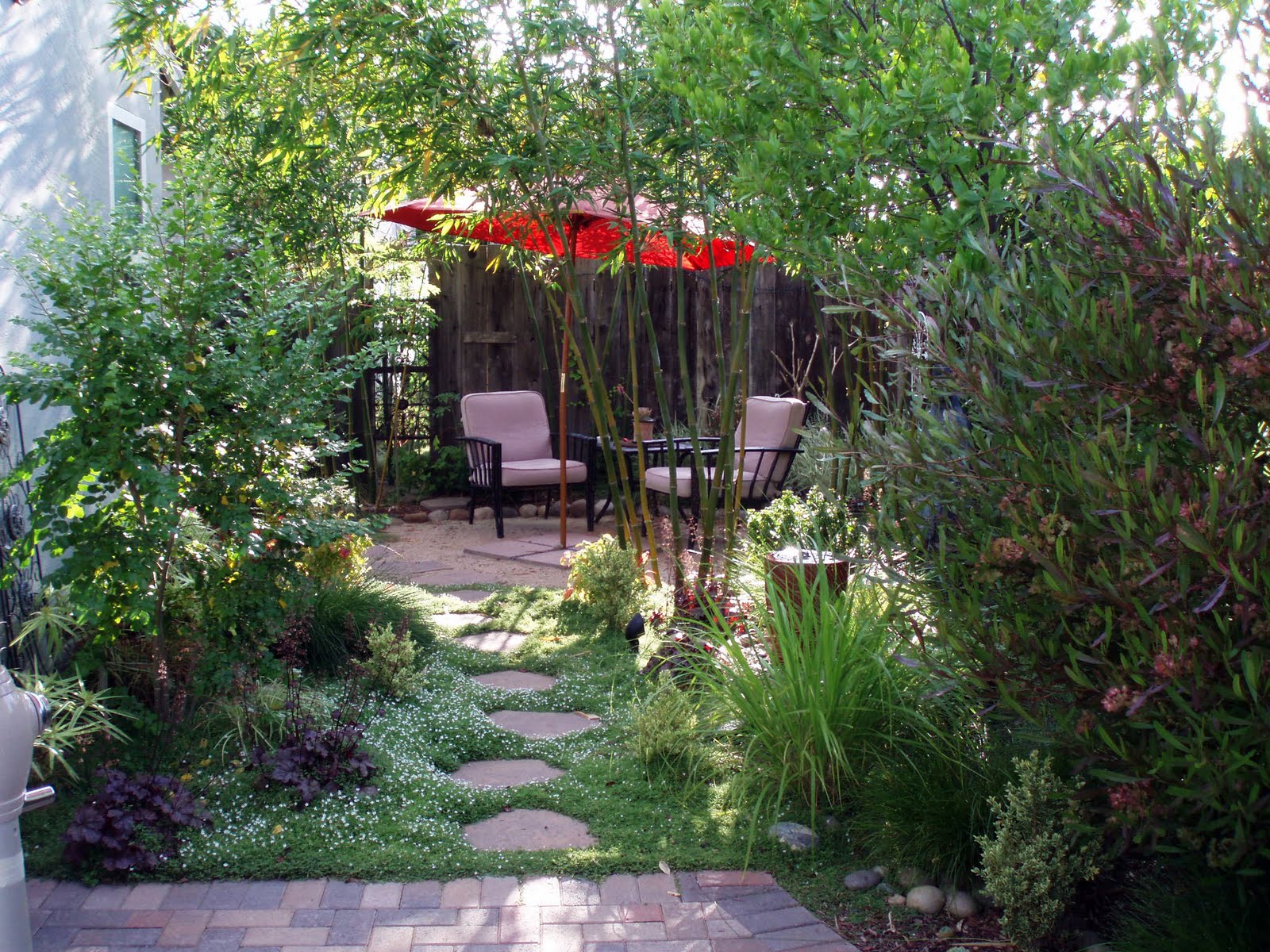 Private Garden Sanctuary Home Design Ideas