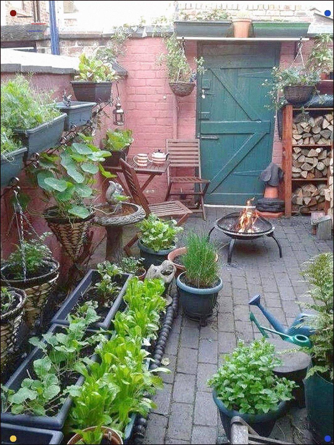 Small Courtyard Small Courtyards