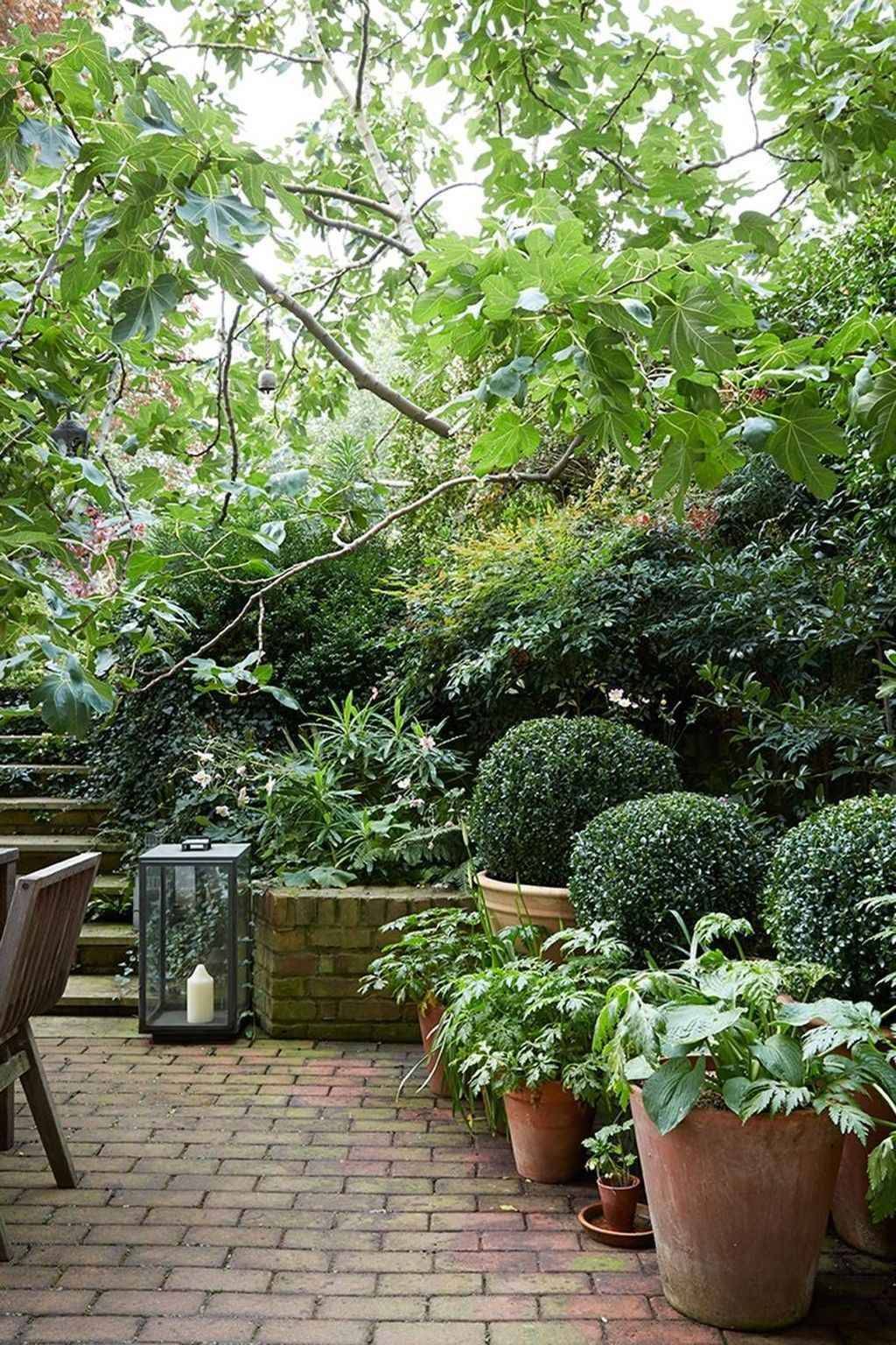 The Best Small Courtyard Gardens Ideas