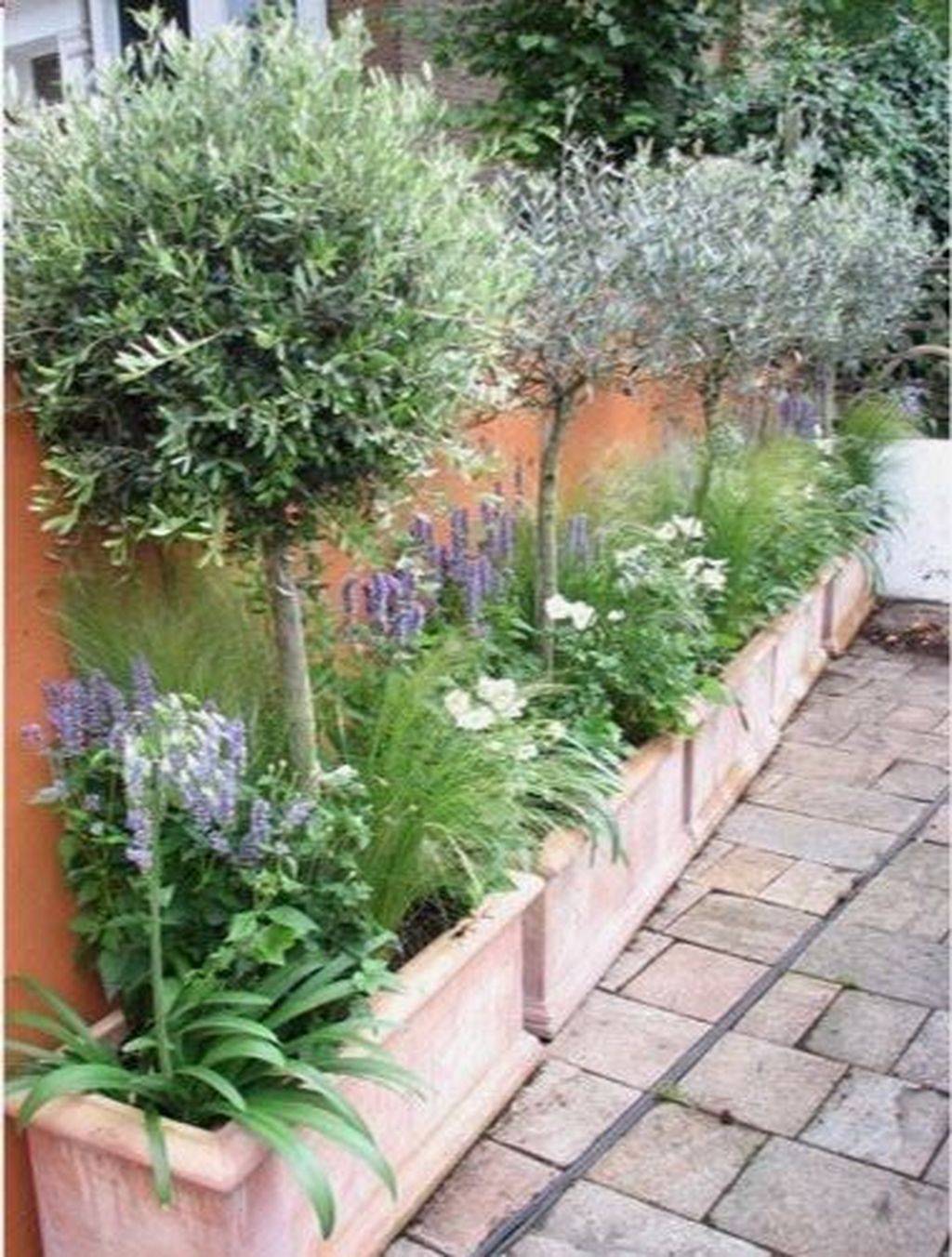 22 Small Mediterranean Courtyard Garden Ideas You Cannot Miss SharonSable