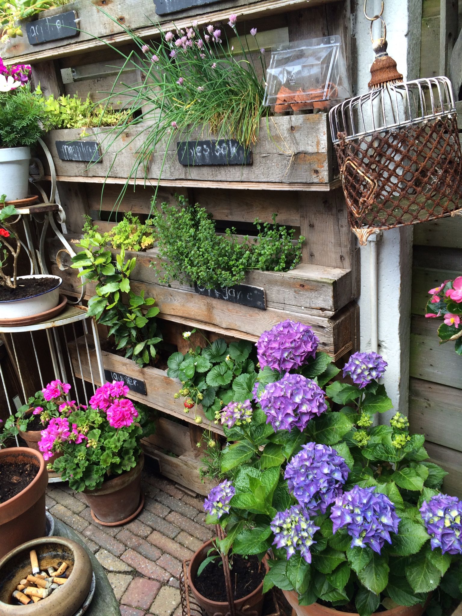 Bohemian Garden Ideas Matchnesscom