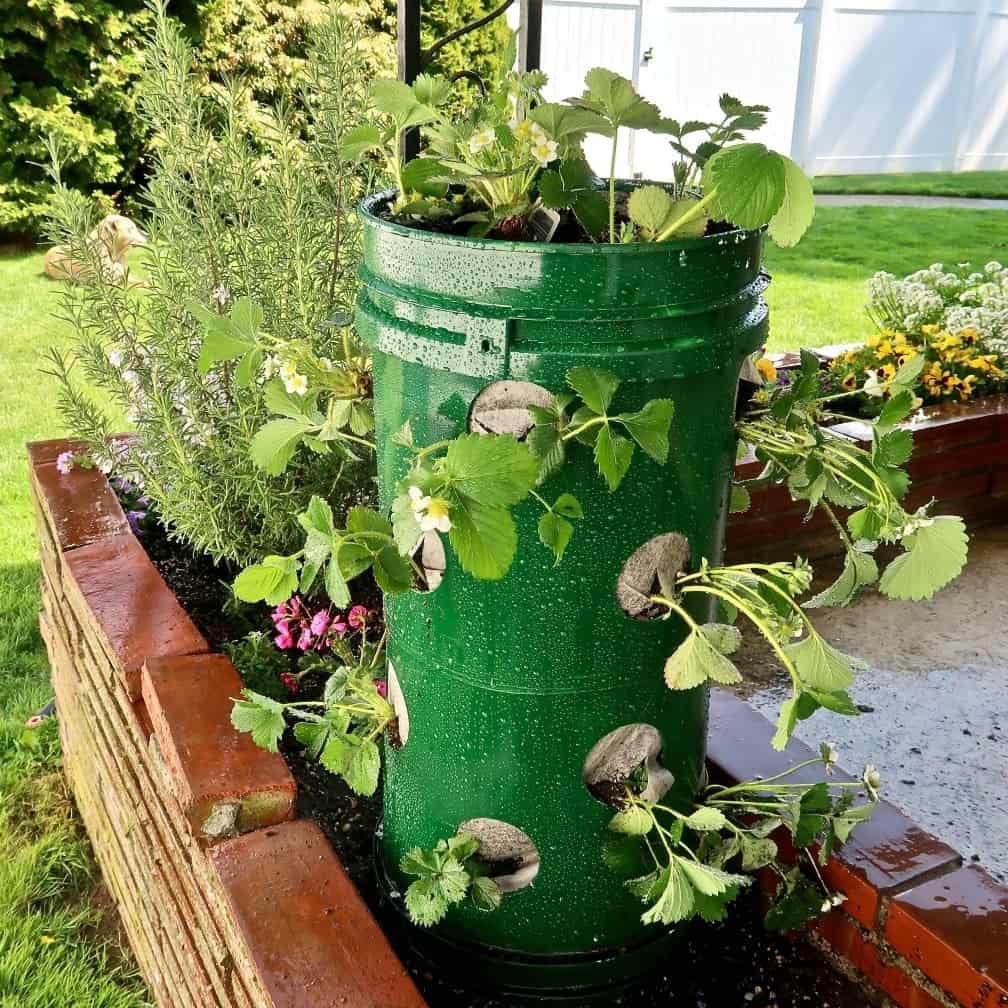 Upcycled Pallet Herb Garden Herb Garden Pallet