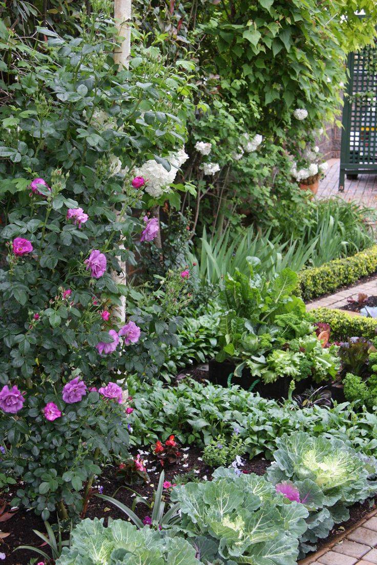 Blue And White Border Beautiful Gardens