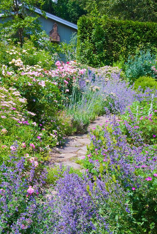 Flowersgardensoutdoor Areas
