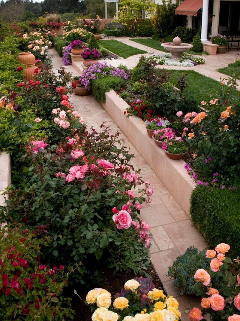 Rose Garden Design Tips Hgtv