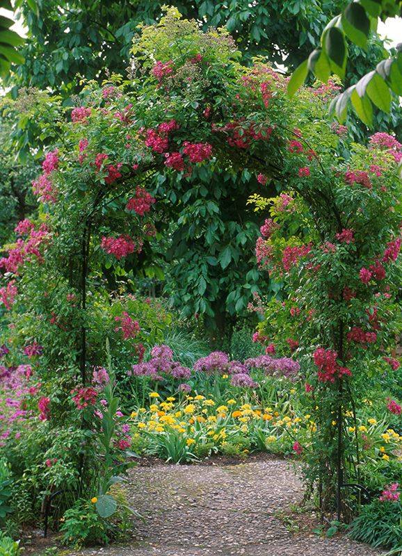 A Romantic Victorian Rose Garden