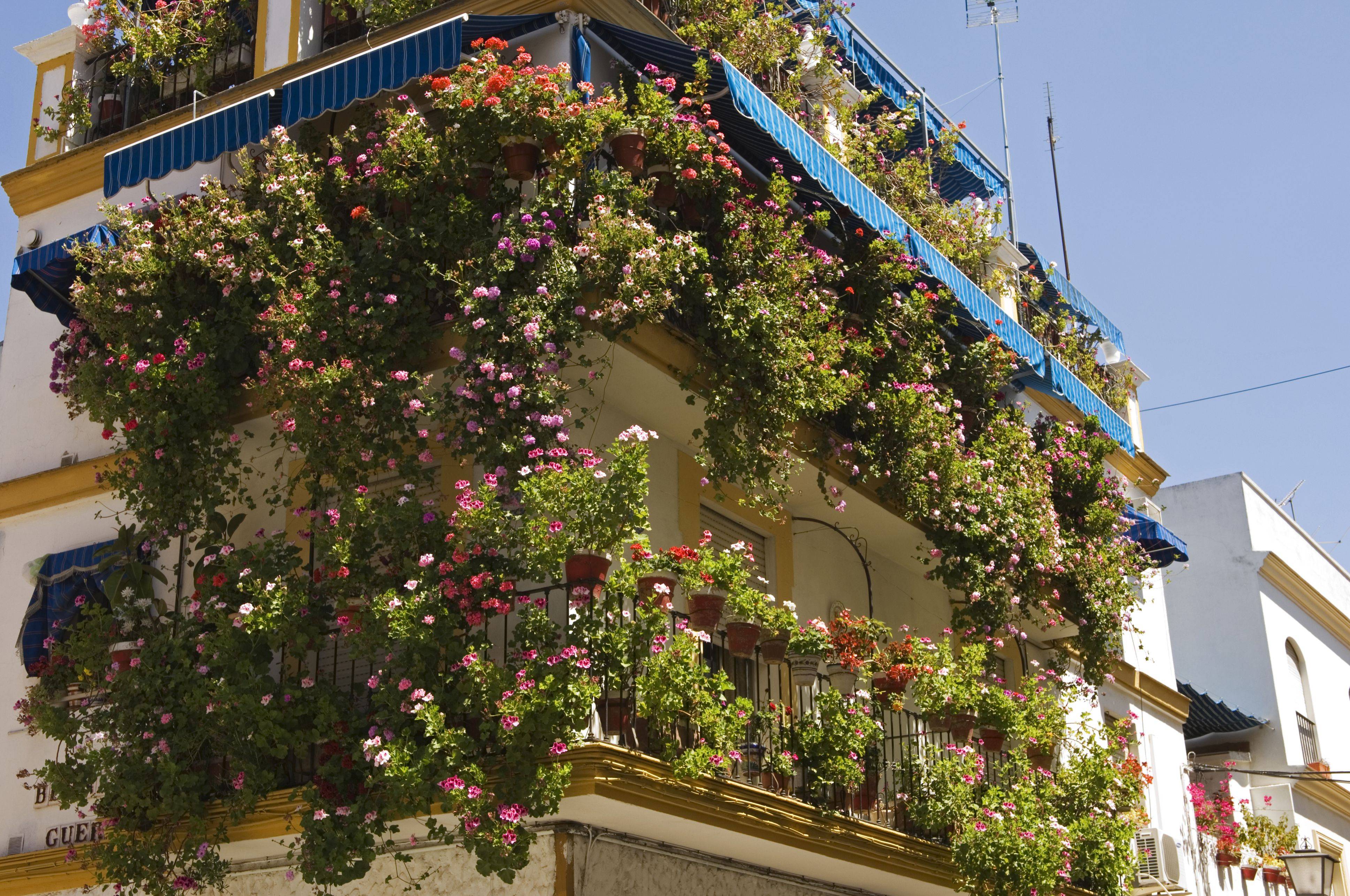 Amazing Balcony Garden Ideas