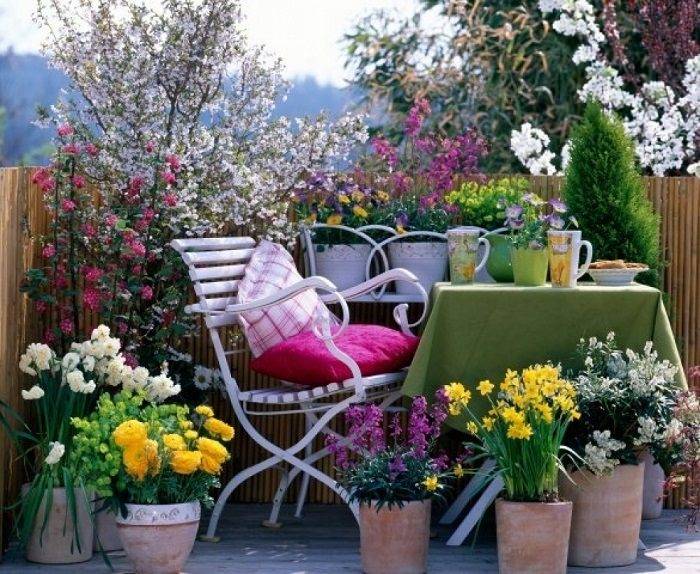 Balcony Garden Design Ideas Hative