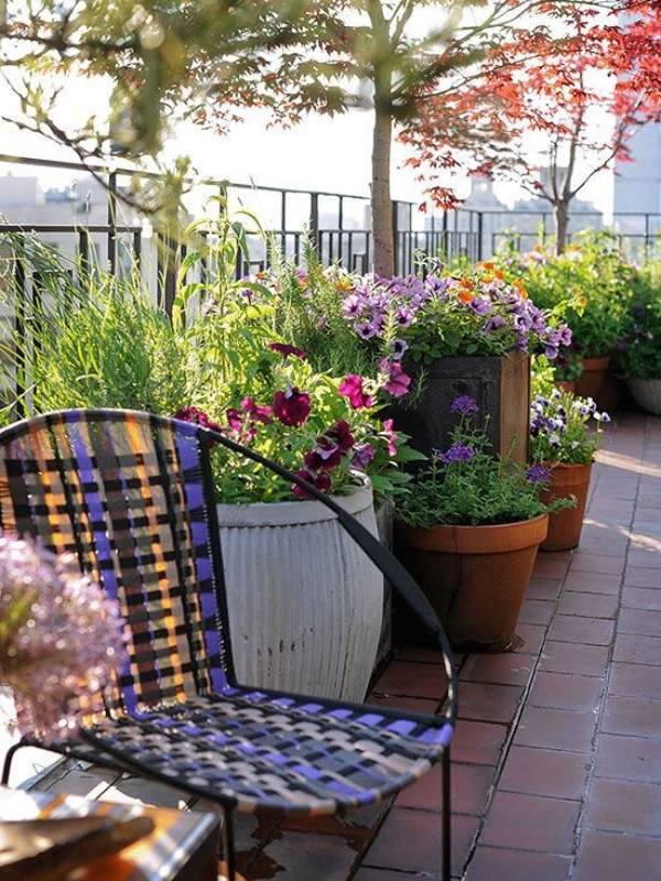 Beautiful Balcony Flower Garden Design Ideas