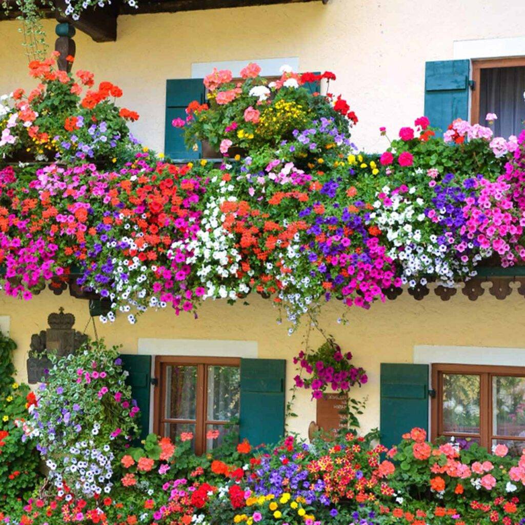 Creative Balcony Garden Design Ideas