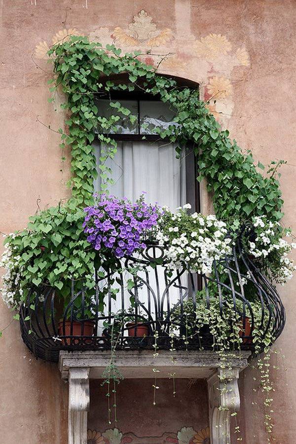 A Lush Balcony Garden Spaceoptimized