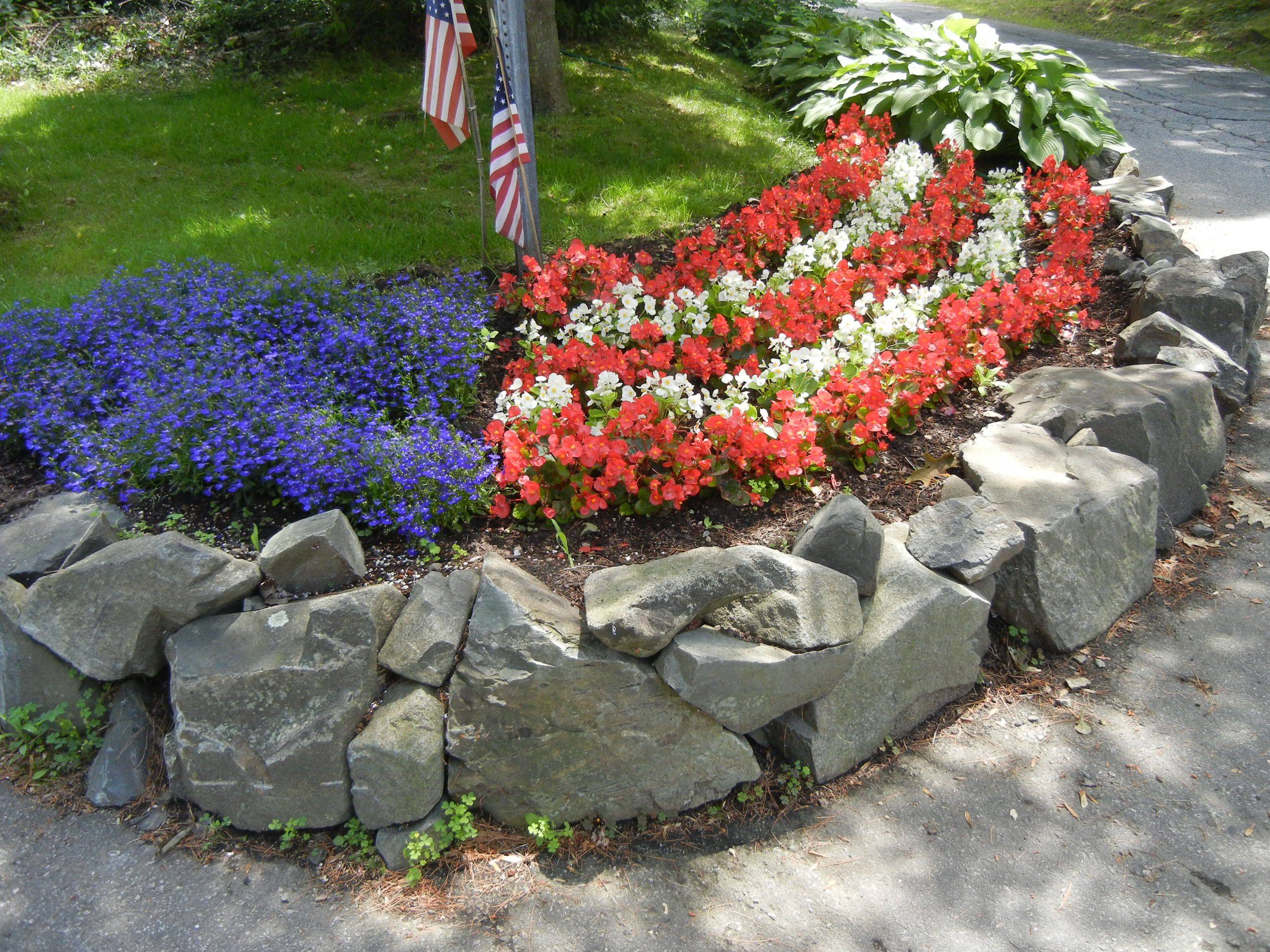 Beautiful Flowers