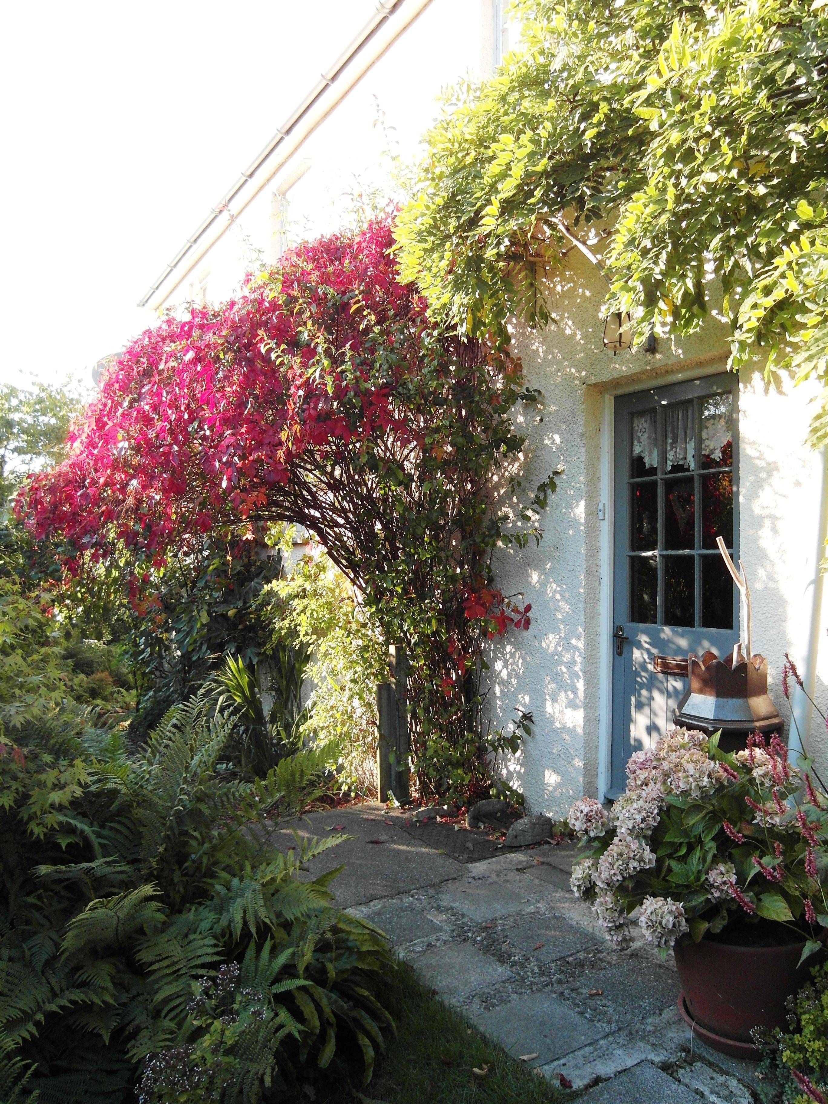 Cottage Exterior