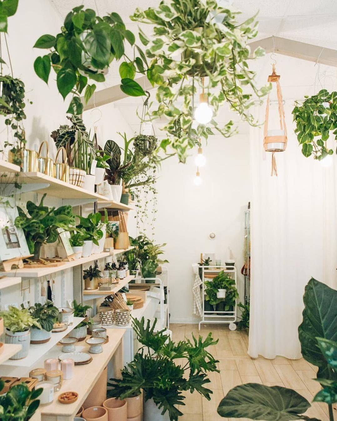 Mini Indoor Garden Ideas