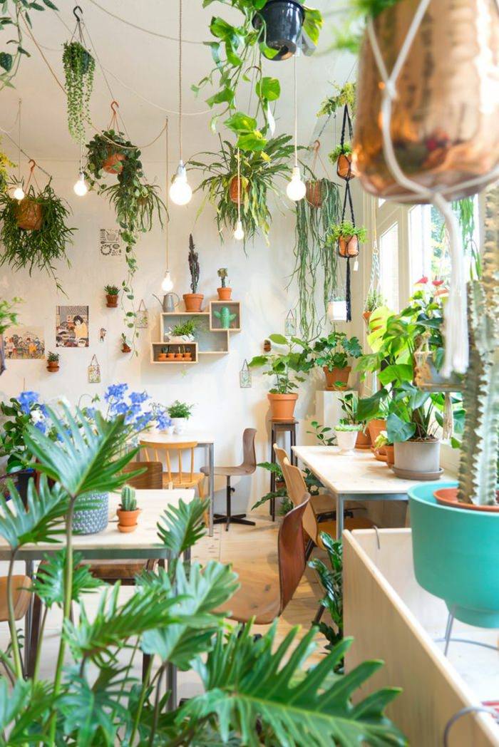 15 Indoor Garden Decor Ideas To Consider SharonSable indoor-garden-rooms-room-with-plants-inside-garden
