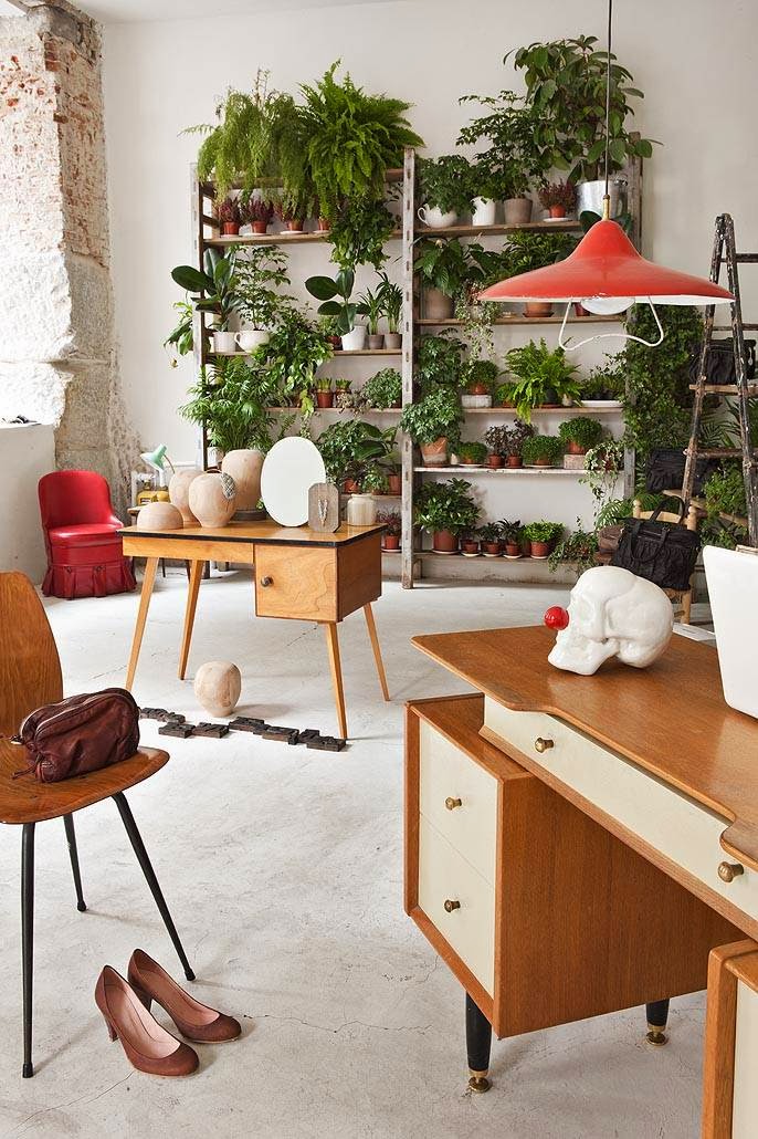 Favourite Indoor Garden