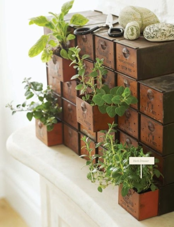 Herb Garden Indoor Ideas