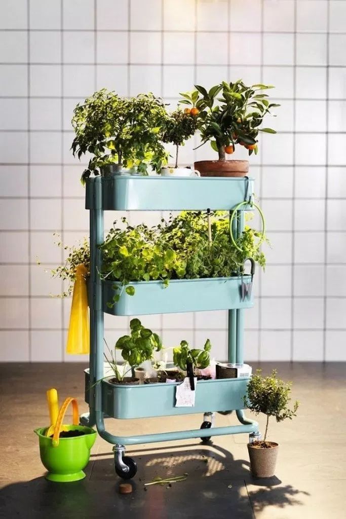 Indoor Herb Garden Ideas Hadley Court Interior Design Blog