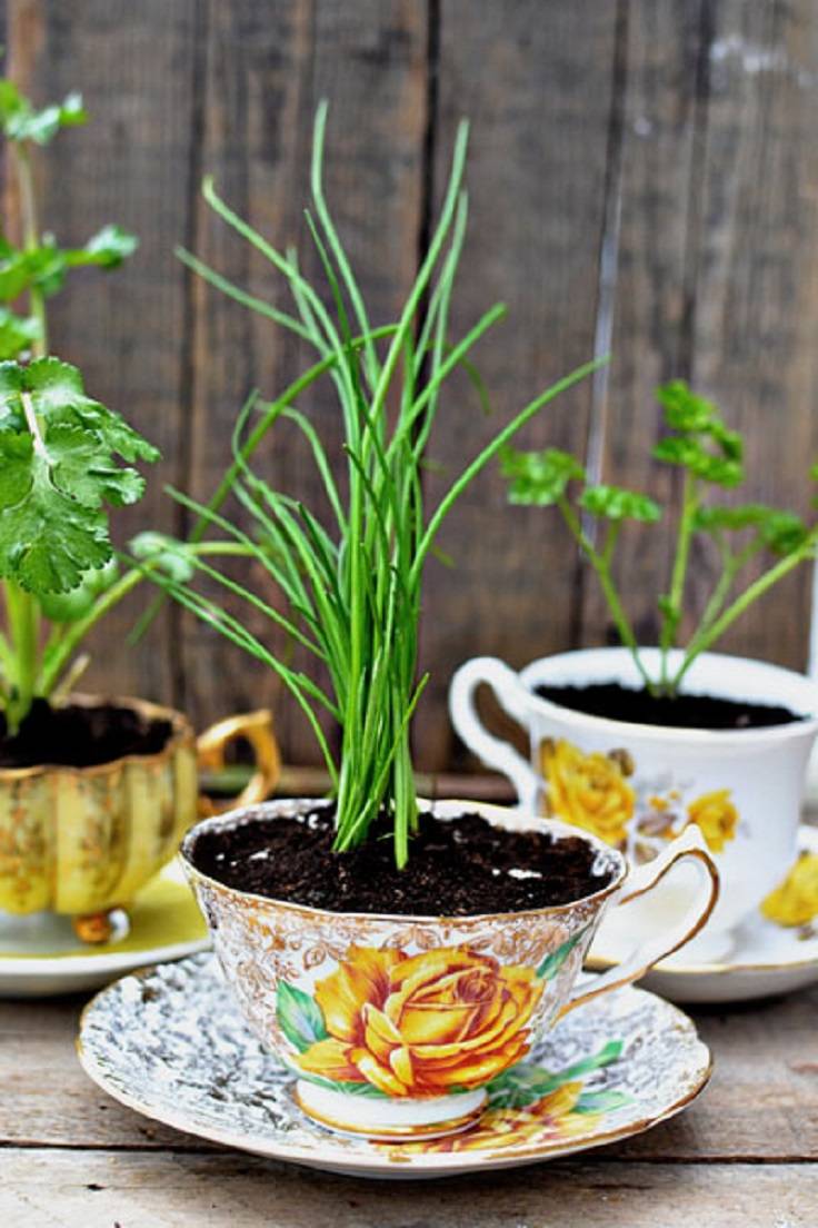 Adorable Diy Container Herb Garden Design Ideas Freshhome