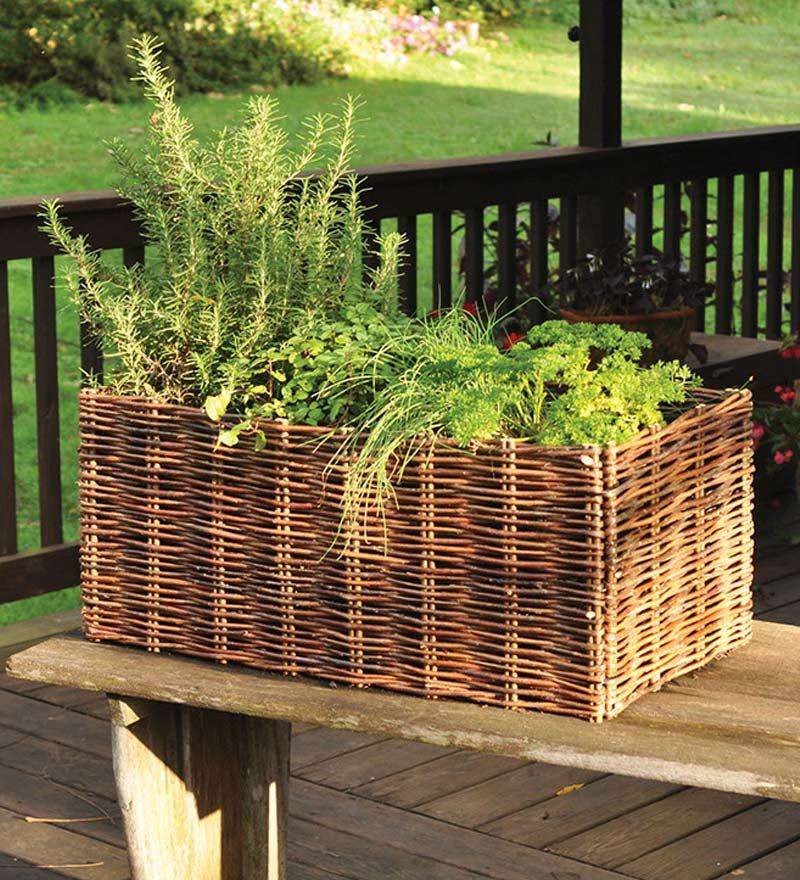 Indoor Herb Container Garden Ideas Slick Garden