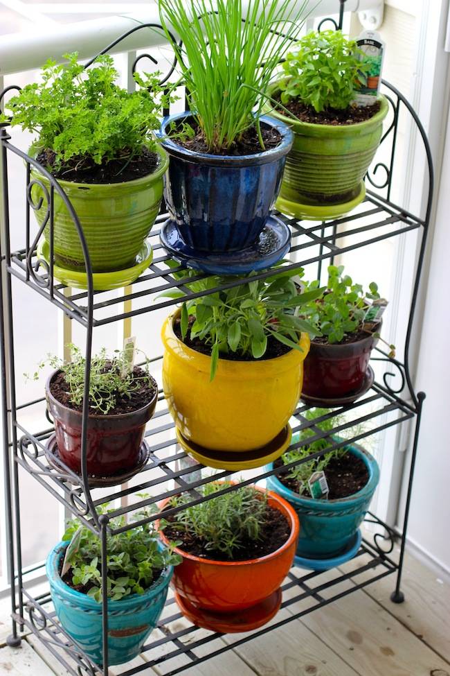 Beautiful Indoor Herb Garden Ideas Container Gardening Vegetables