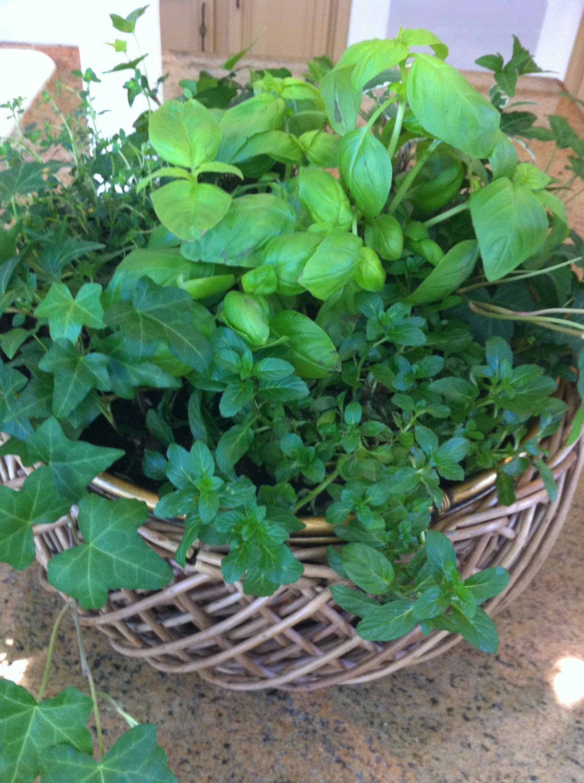 Adorable Diy Container Herb Garden Design Ideas