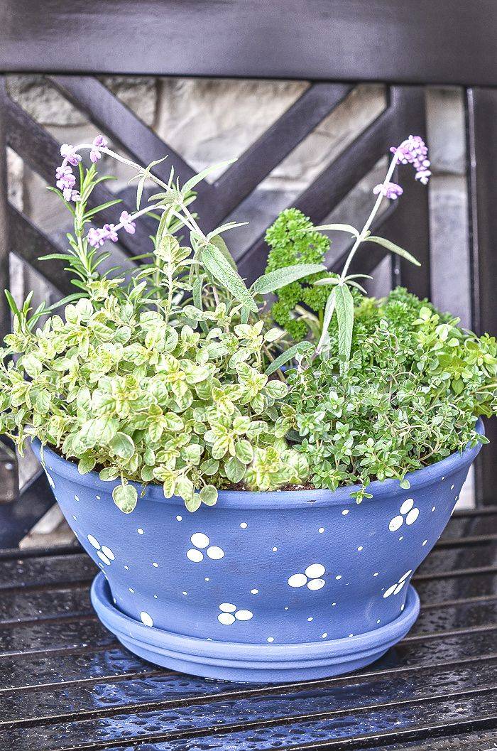 Your Very Own Container Garden
