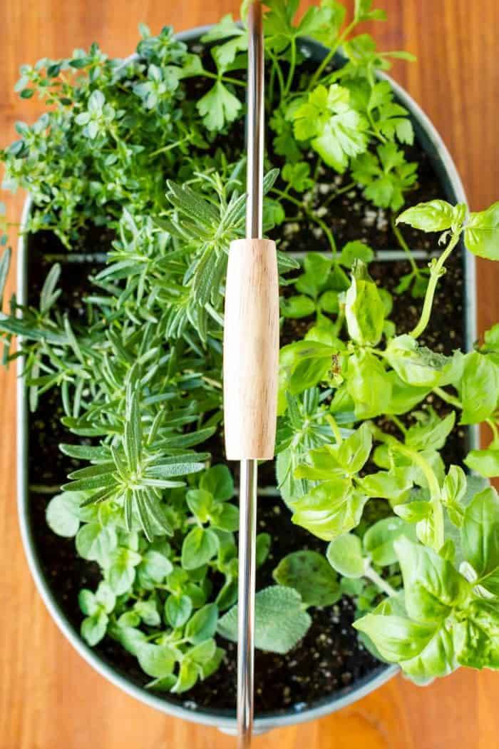 Herb Container Gardening Tips Metamorphosis Landscape Design