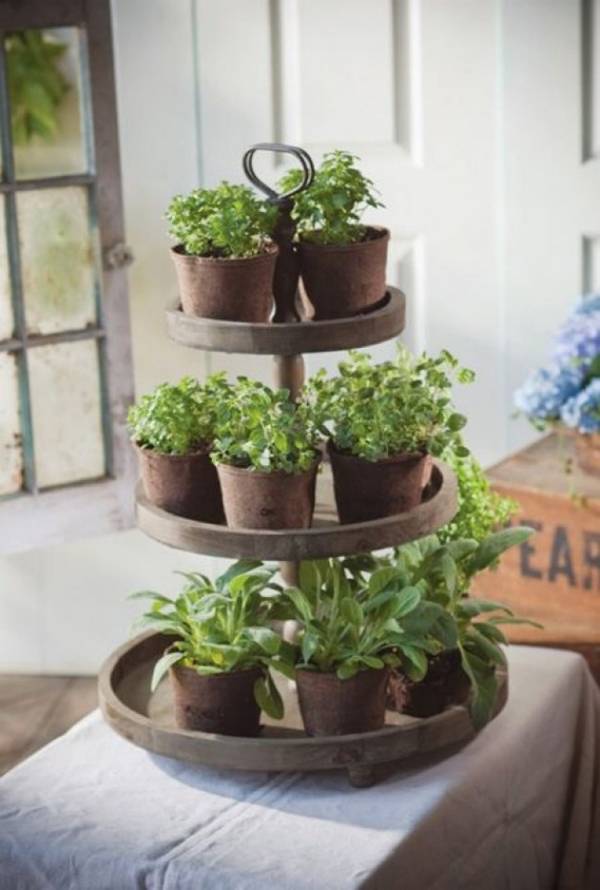 Indoor Herb Container Garden