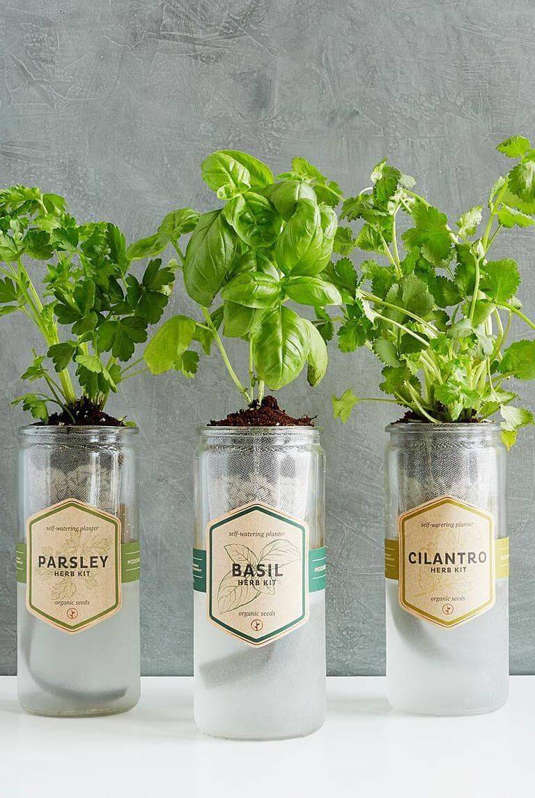 The Best Indoor Herb Garden Ideas