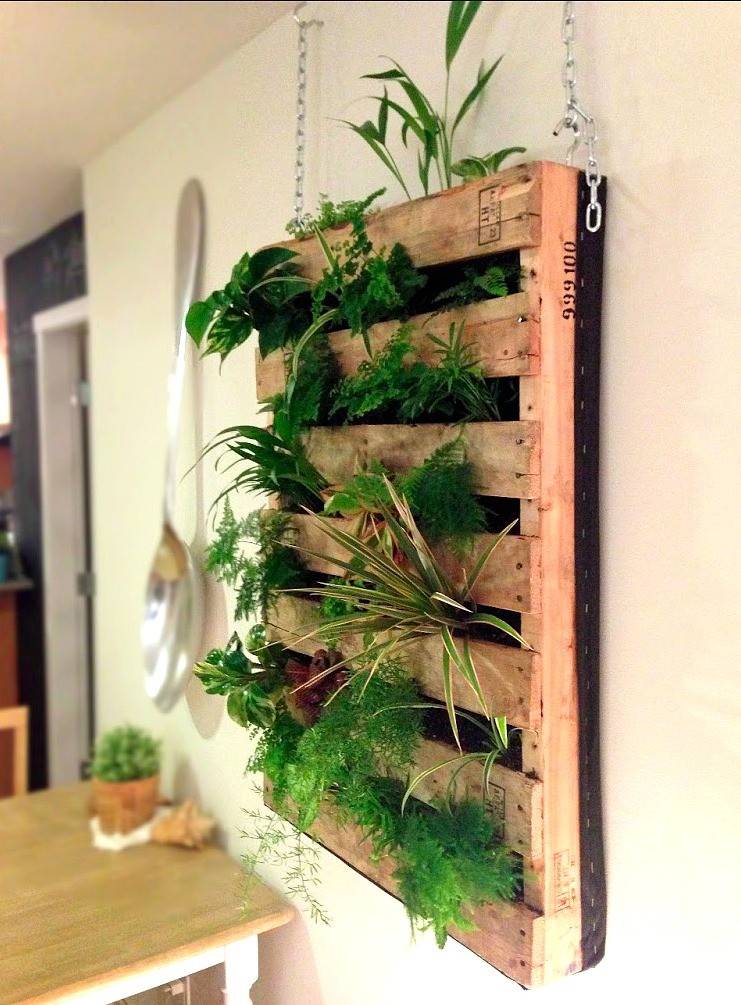 Stunning Indoor Wall Herb Garden Ideas