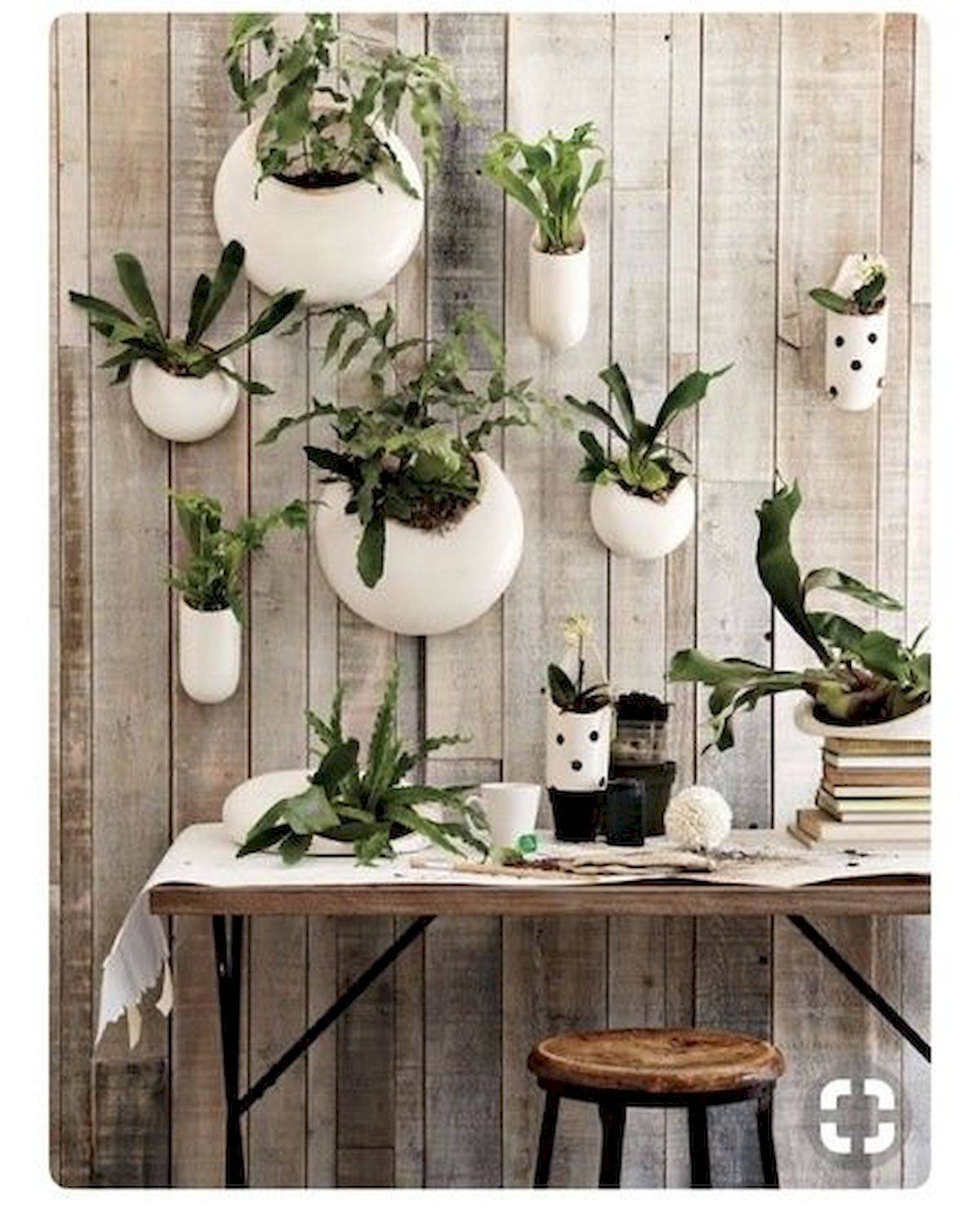 Elegant Wall Planters Indoor Ideas
