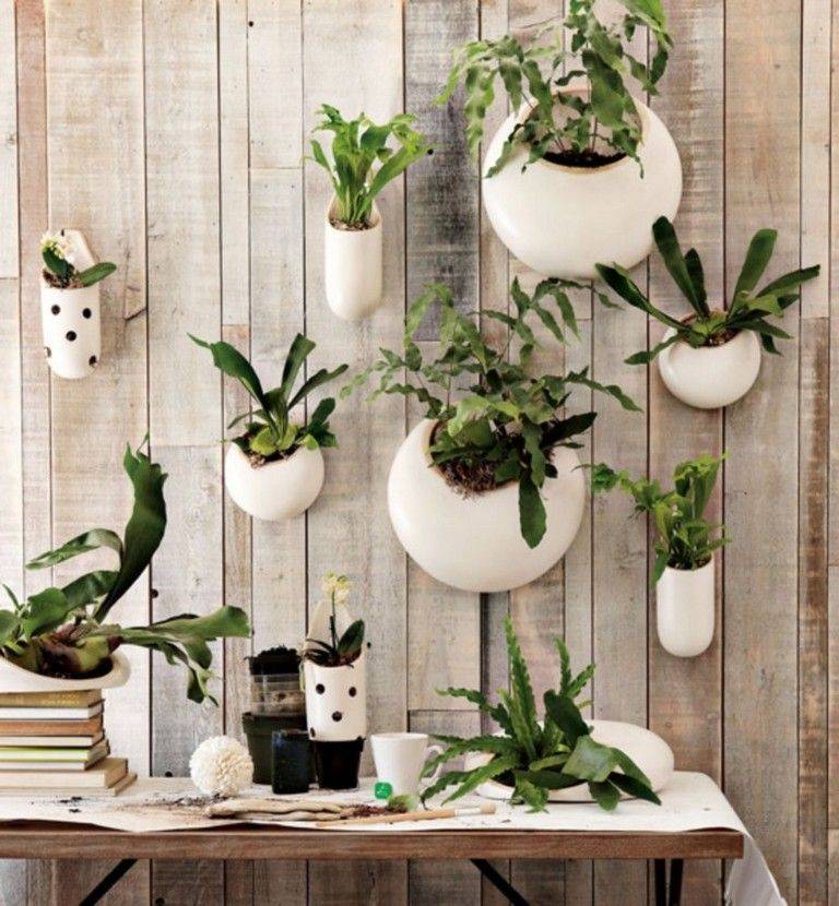 Indoor Living Wall Planter Ideas